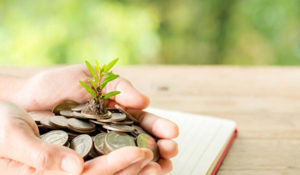 pile of coins growing a small plant